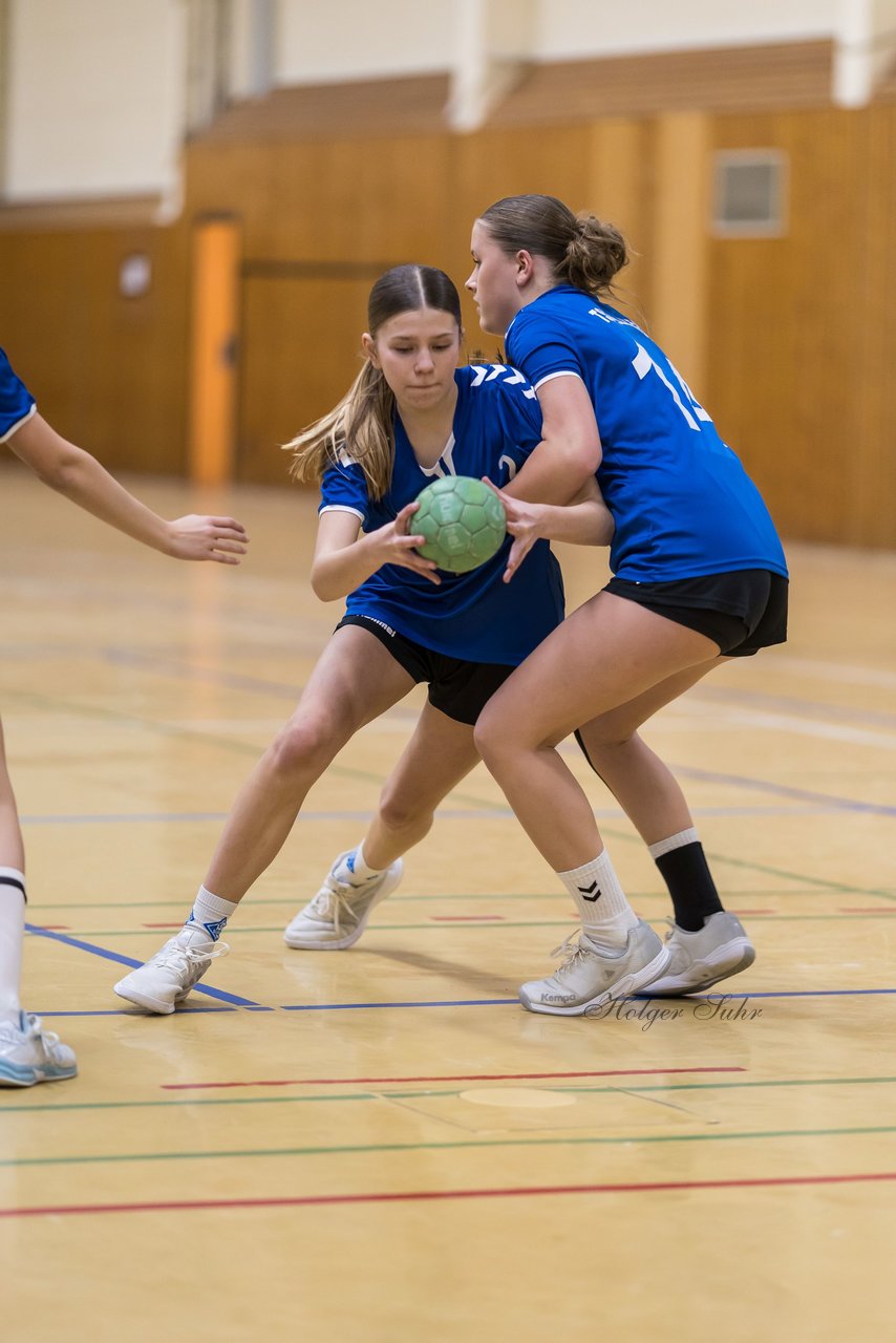 Bild 160 - wCJ TSV Ellerau - SG Pahlhude/Tellingstedt : Ergebnis: 21:18